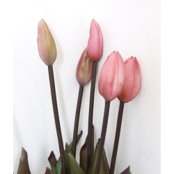 Tulipany bukiet 7szt. Różowe 40cm
